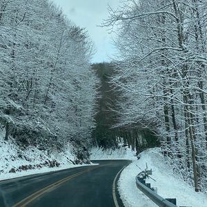 Meet your Posher, Marilyn